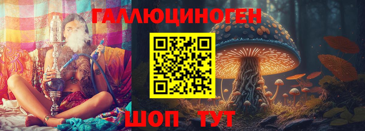 Галлюциногенные грибы Psilocybe Артём